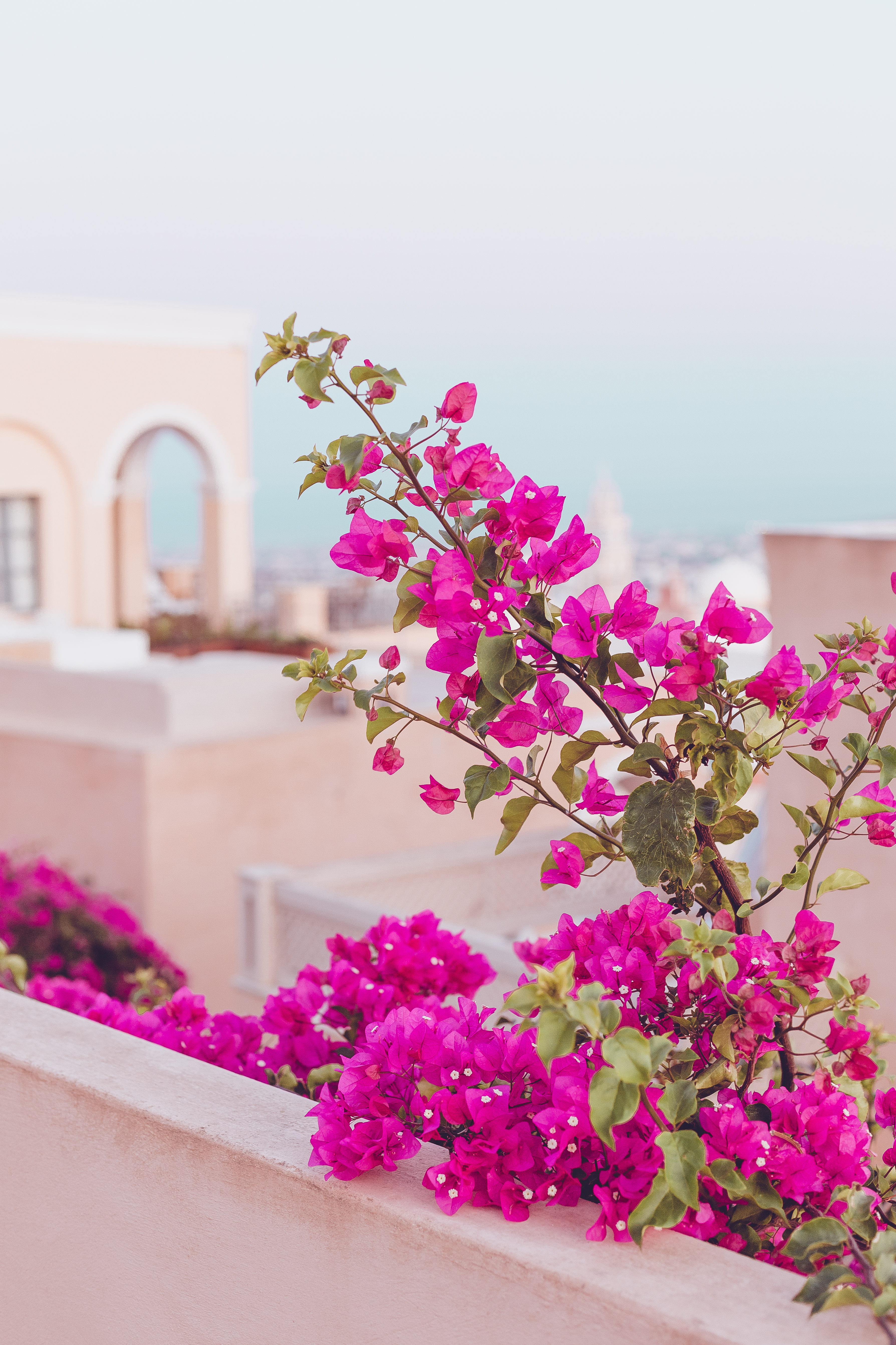 Best wedding venues in Samos Best wedding venues in Samos
